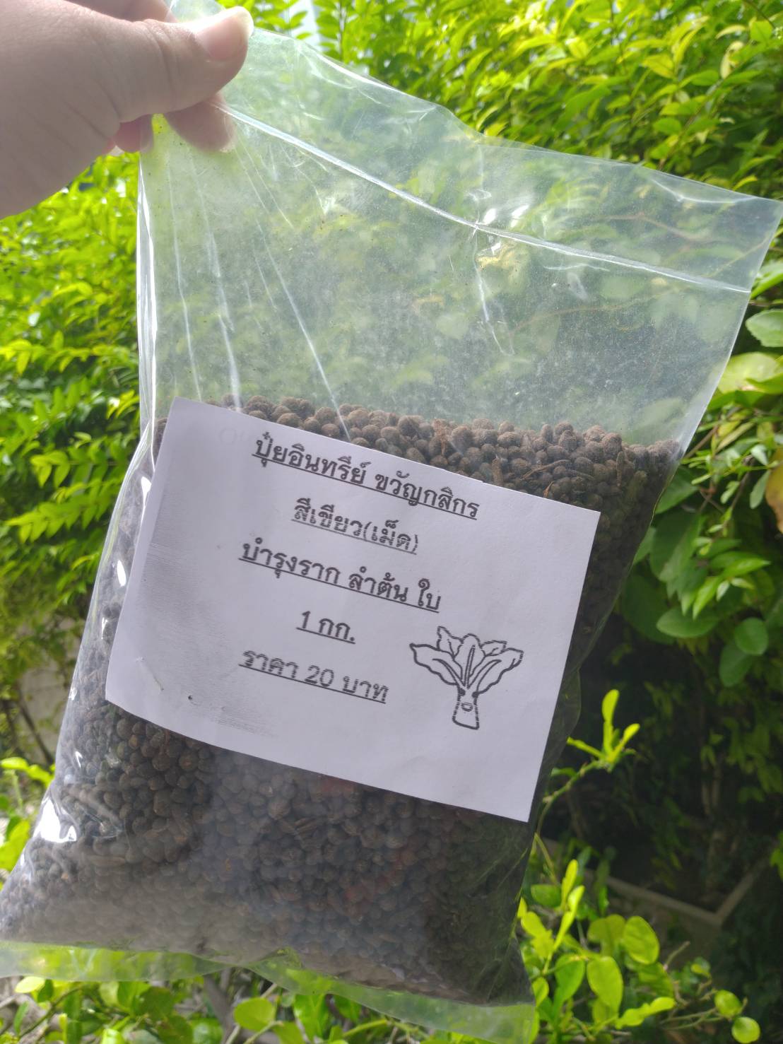 ปุ๋ยอินทรีย์แบบเม็ด (สีเขียว) ขนาด 1 กก." ขวัญกสิกร "บำรุงลำต้นและใบ