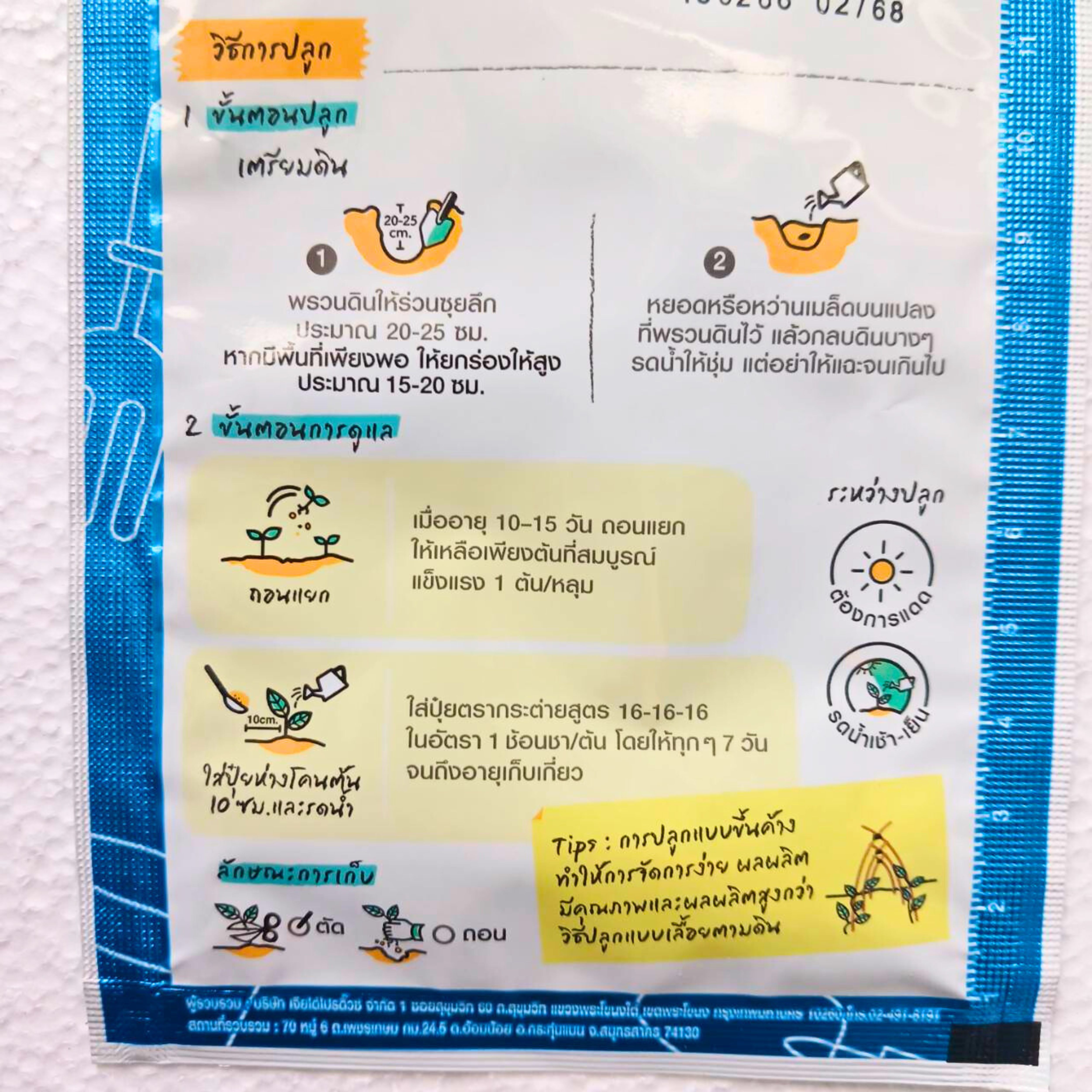 แตงร้าน CUCUMBER เจียไต๋