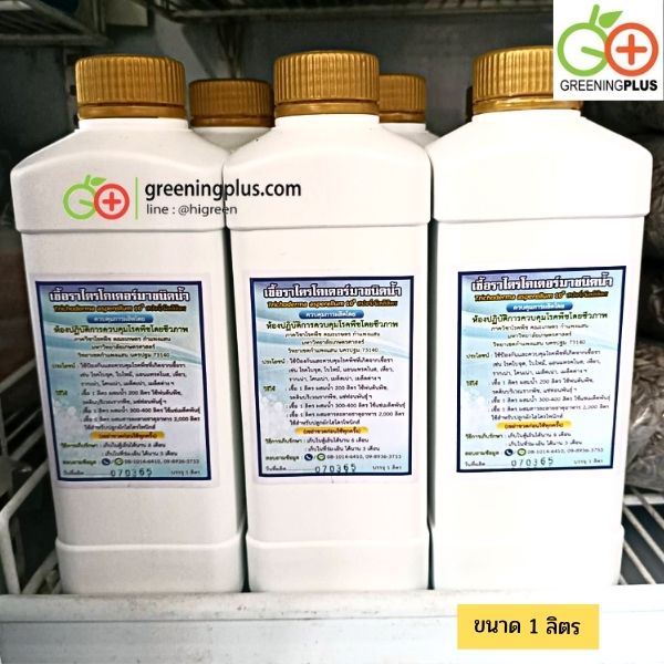 หัวเชื้อราไตรโคเดอร์ม่า แบบน้ำ 1 ลิตร