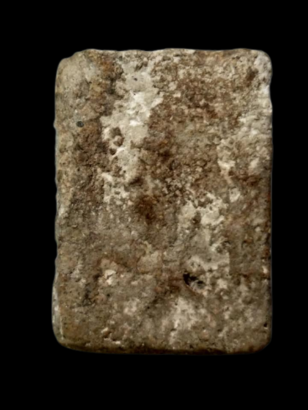 F309 พระสมเด็จหลวงพ่อโต