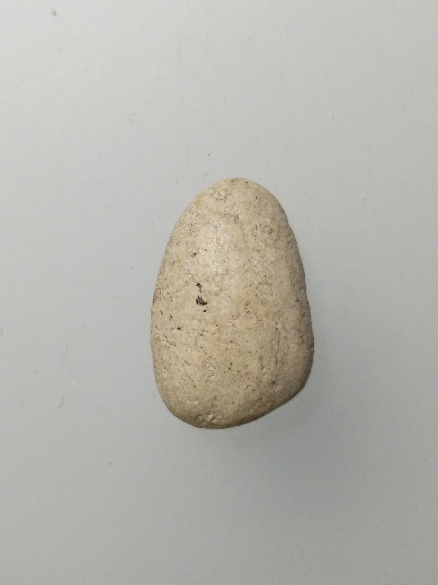 F251 พระวัดพลับ