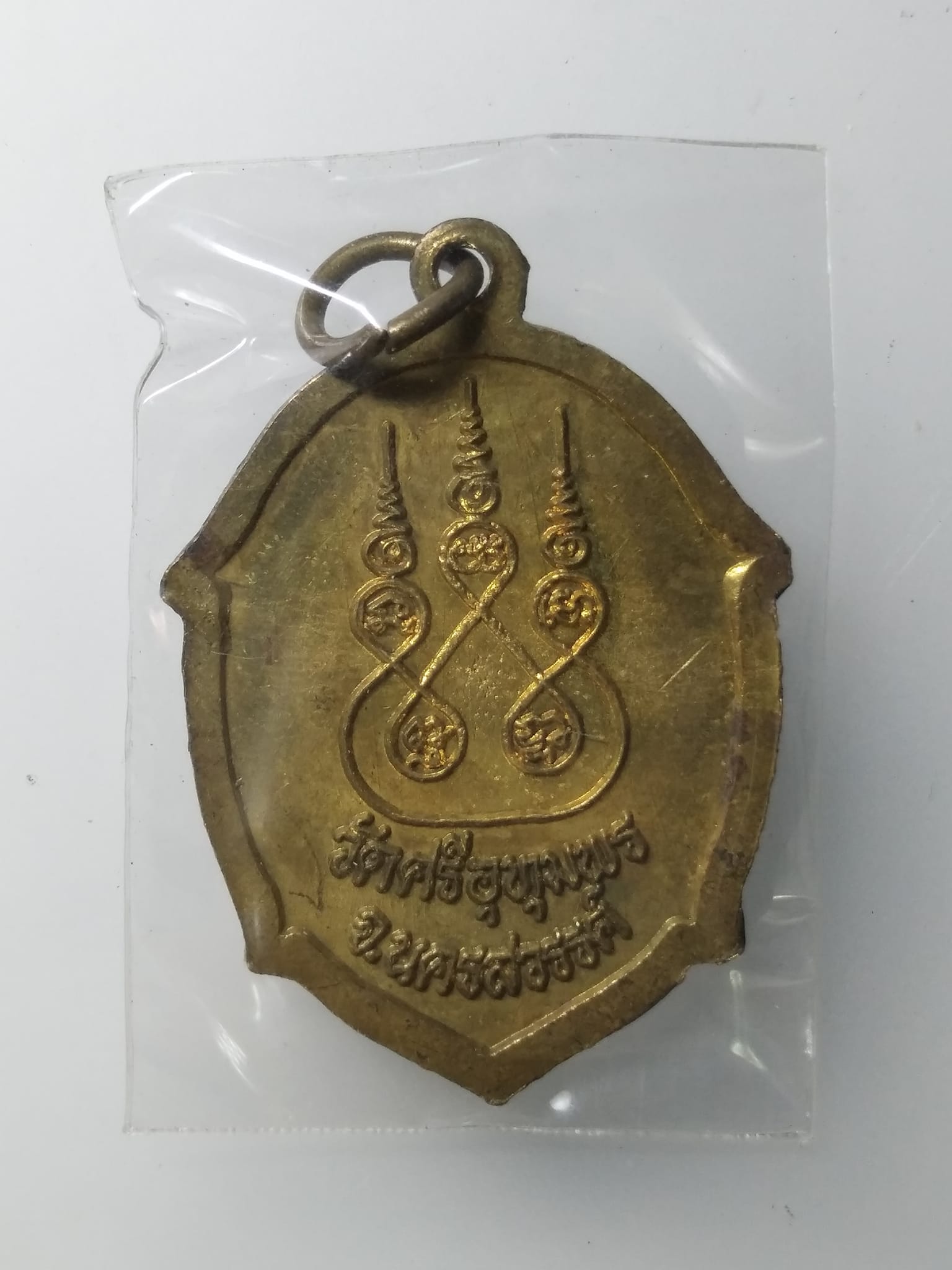 G860 เหรียญเต่า หลวงพ่อจ้อย วัดศรีอุทุมพร จ.นครสวรรค์ ปี 2549 ที่ระลึกอายุครบ 94 ปี