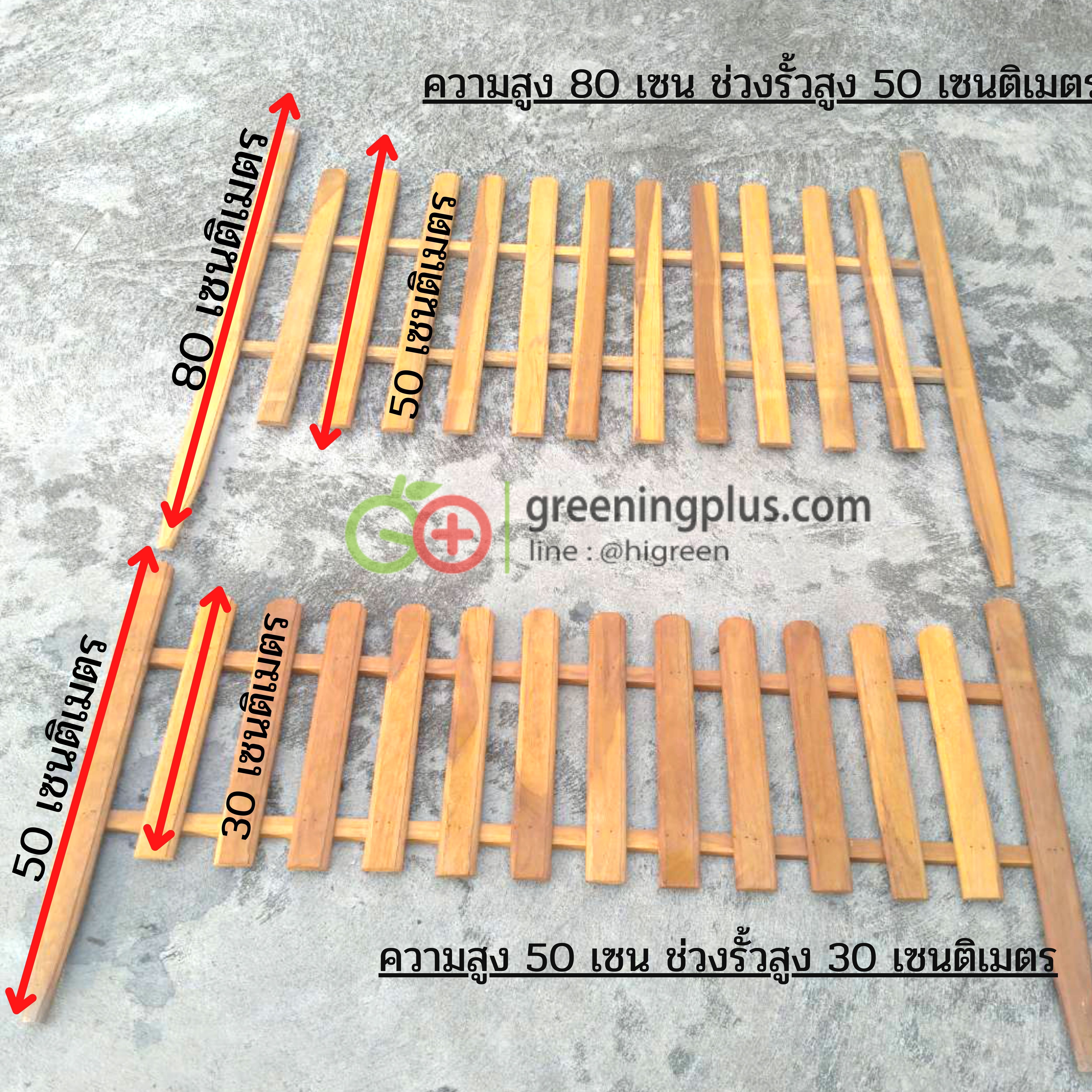 ไม้รั้ว ไม้ตกแต่งสวน