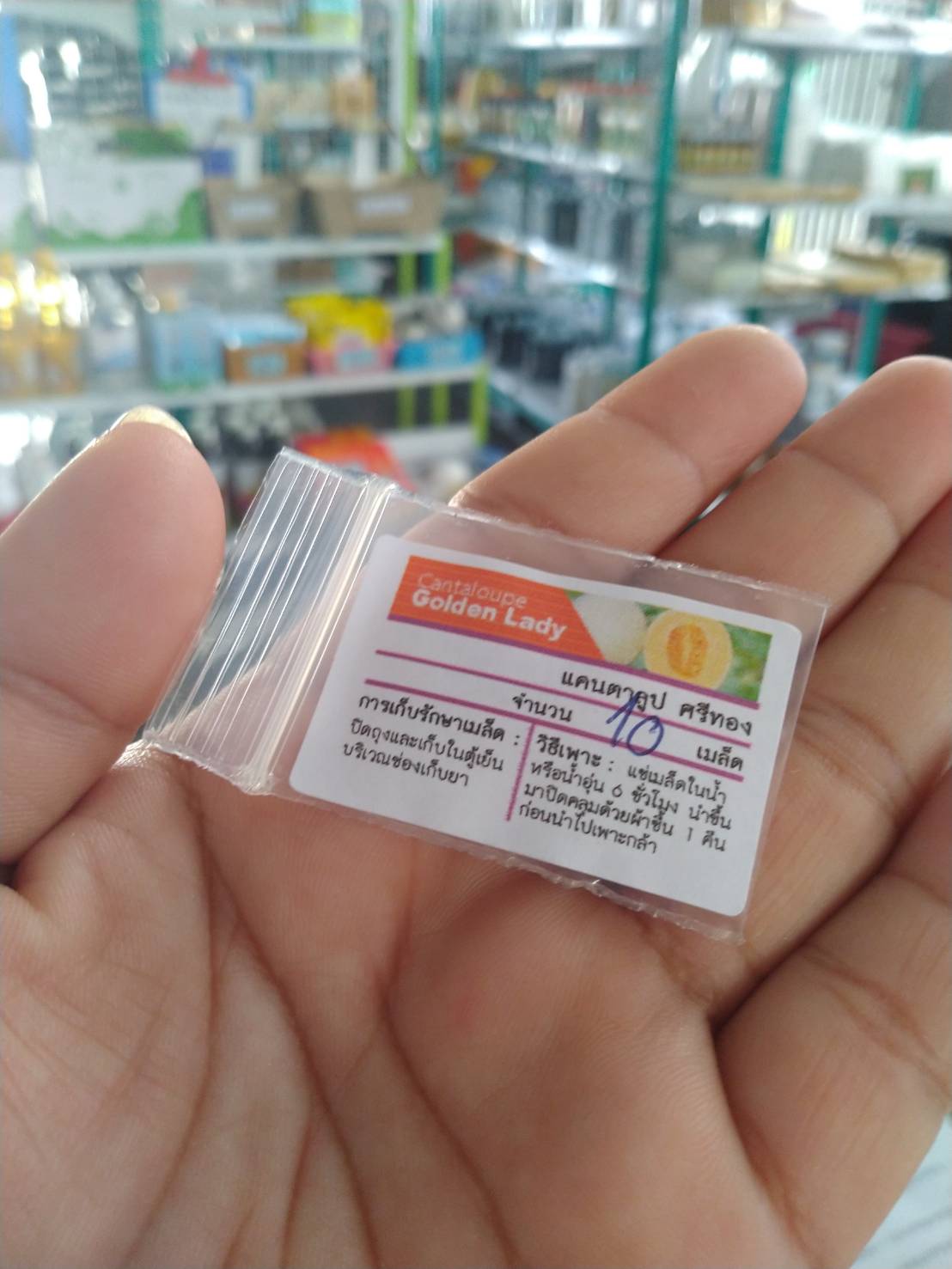 เมล่อน GOLDEN LADY 10 เมล็ด