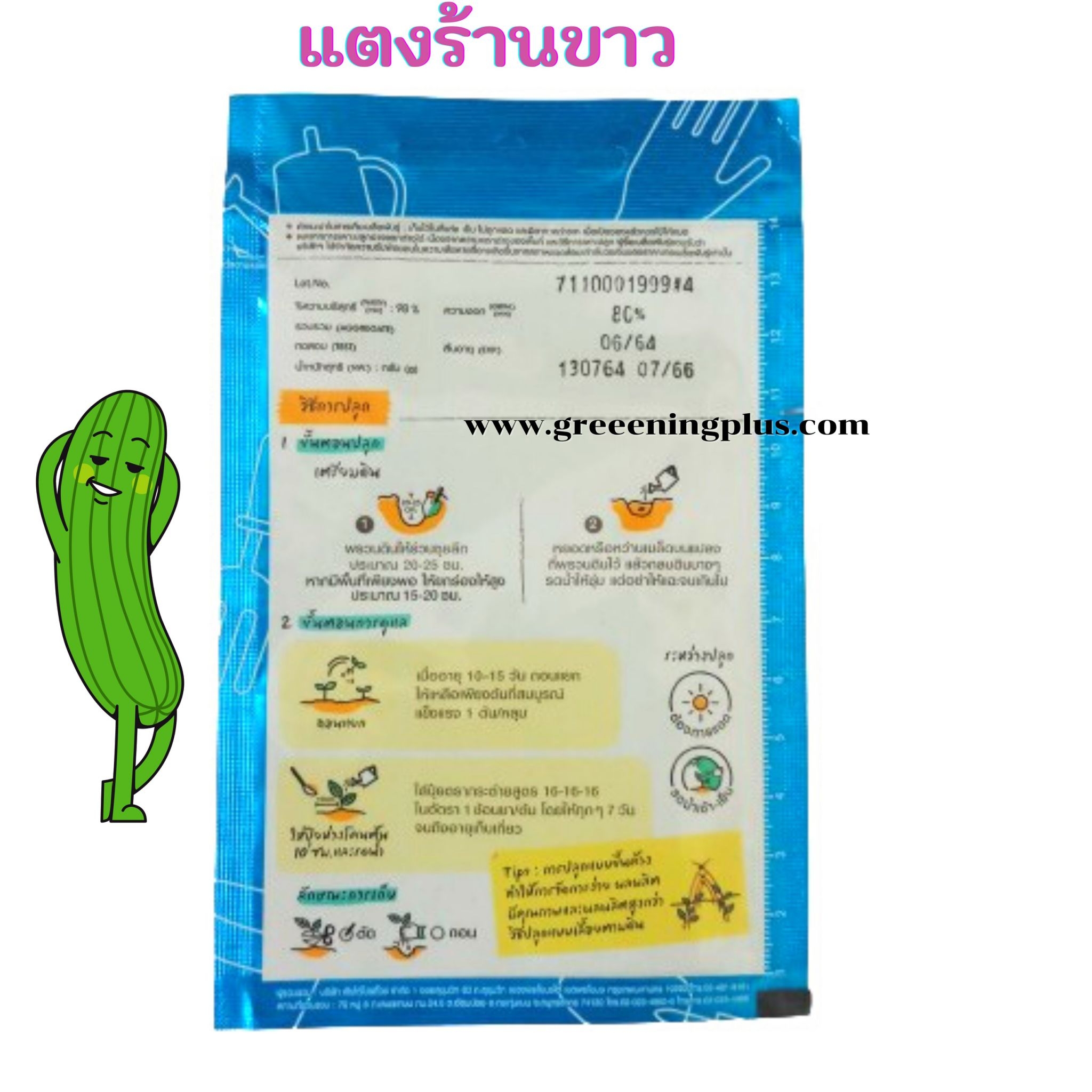 แตงร้านขาว WHITE CUCUMBER เจียไต๋