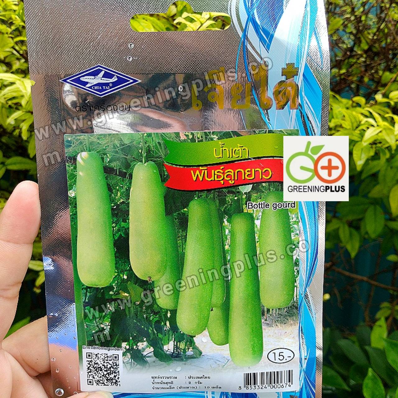 น้ำเต้าพันธุ์ลูกยาว (Bottle gourd) เจียไต๋