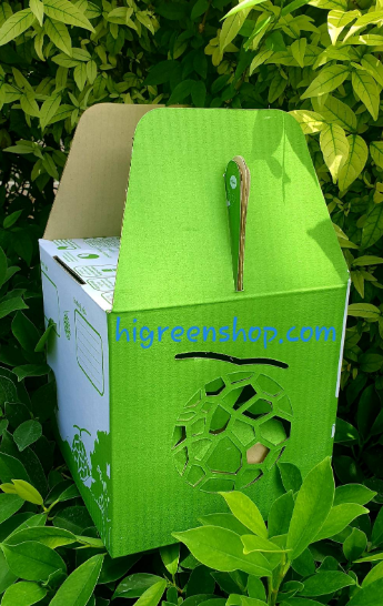 กล่องเมล่อนขนาด 1ลูก พร้อมถาดรอง