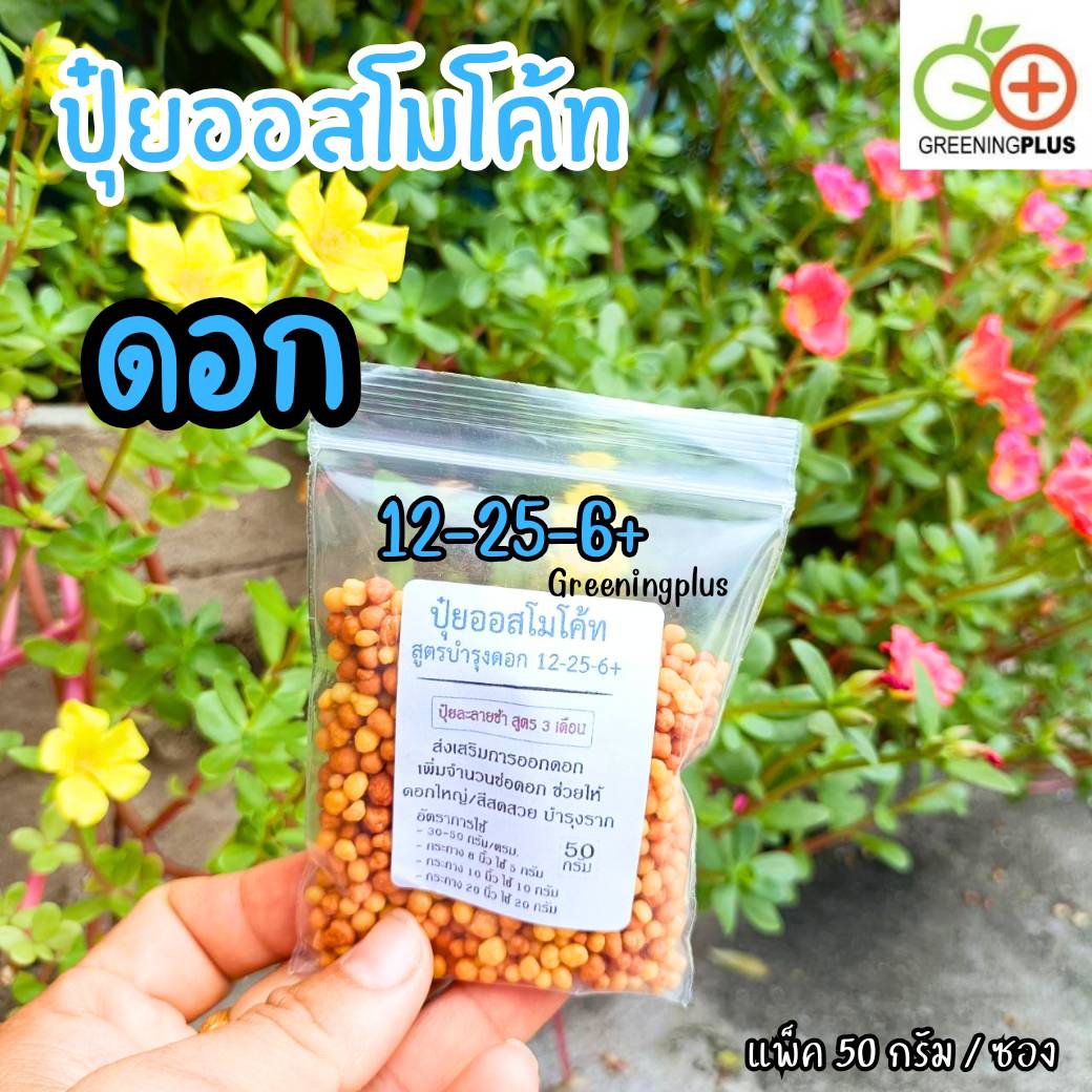 ปุ๋ยออสโมโค้ท (Osmocote) ขนาด 50 กรัม
