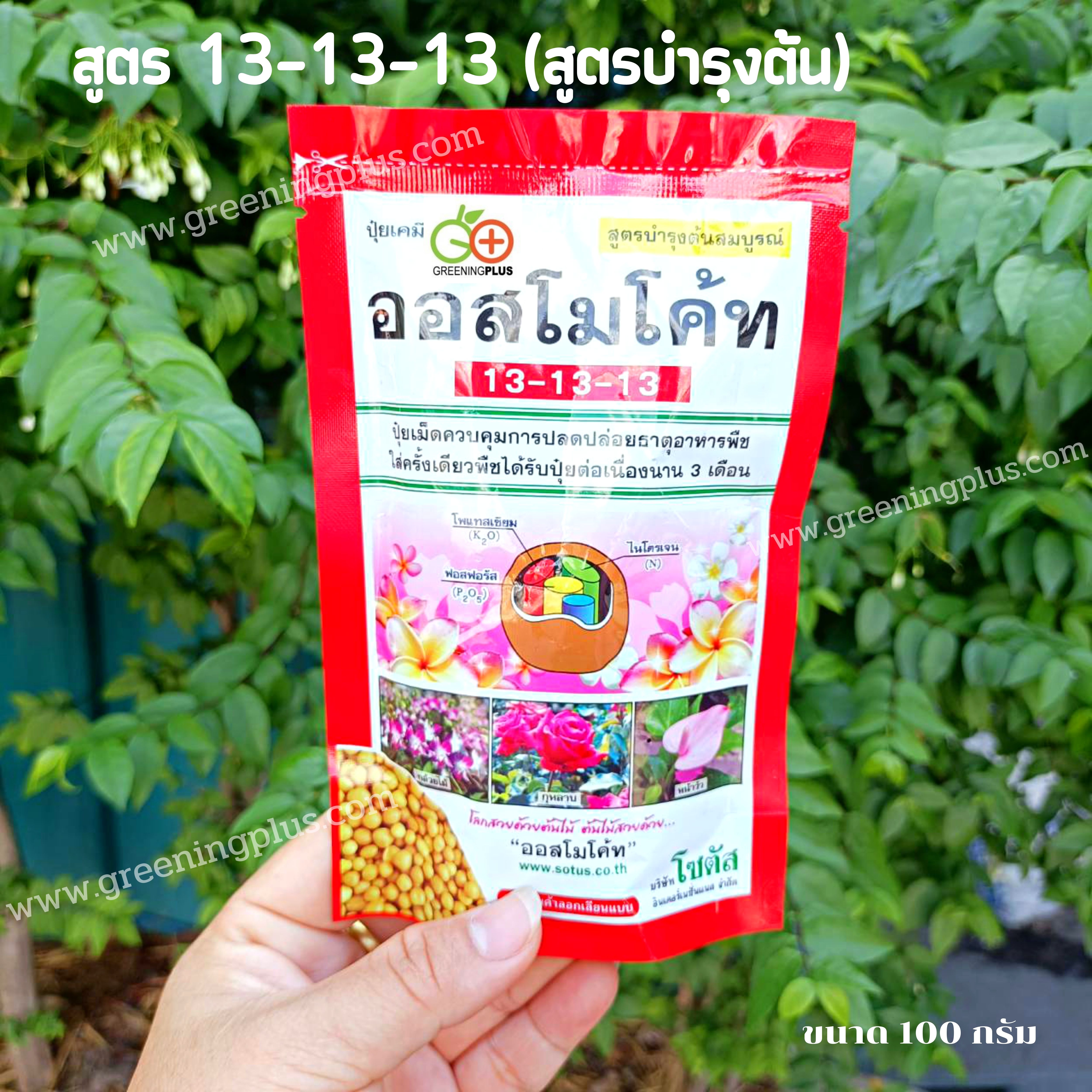 ปุ๋ยออสโมโค้ท (Osmocote) ขนาด 100 กรัม