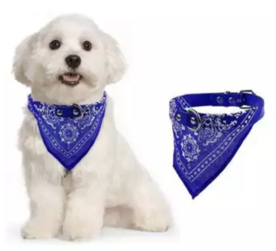 ปลอกคอหนังผ้า สำหรับน้องหมาและน้องเหมียว ขนาด M ราคา 69 บาท ......................................... 📮มีบริการส่งสินค้าทางKerry แบบเก็บเงินปลายทางด้วยนะคะ รอติดตามข่าวสารและโปรโมชั่นร้านได้ตลอดนะคะ ติดต่อสอบถามได้ตลอดที่ 📲085-6317683 Line