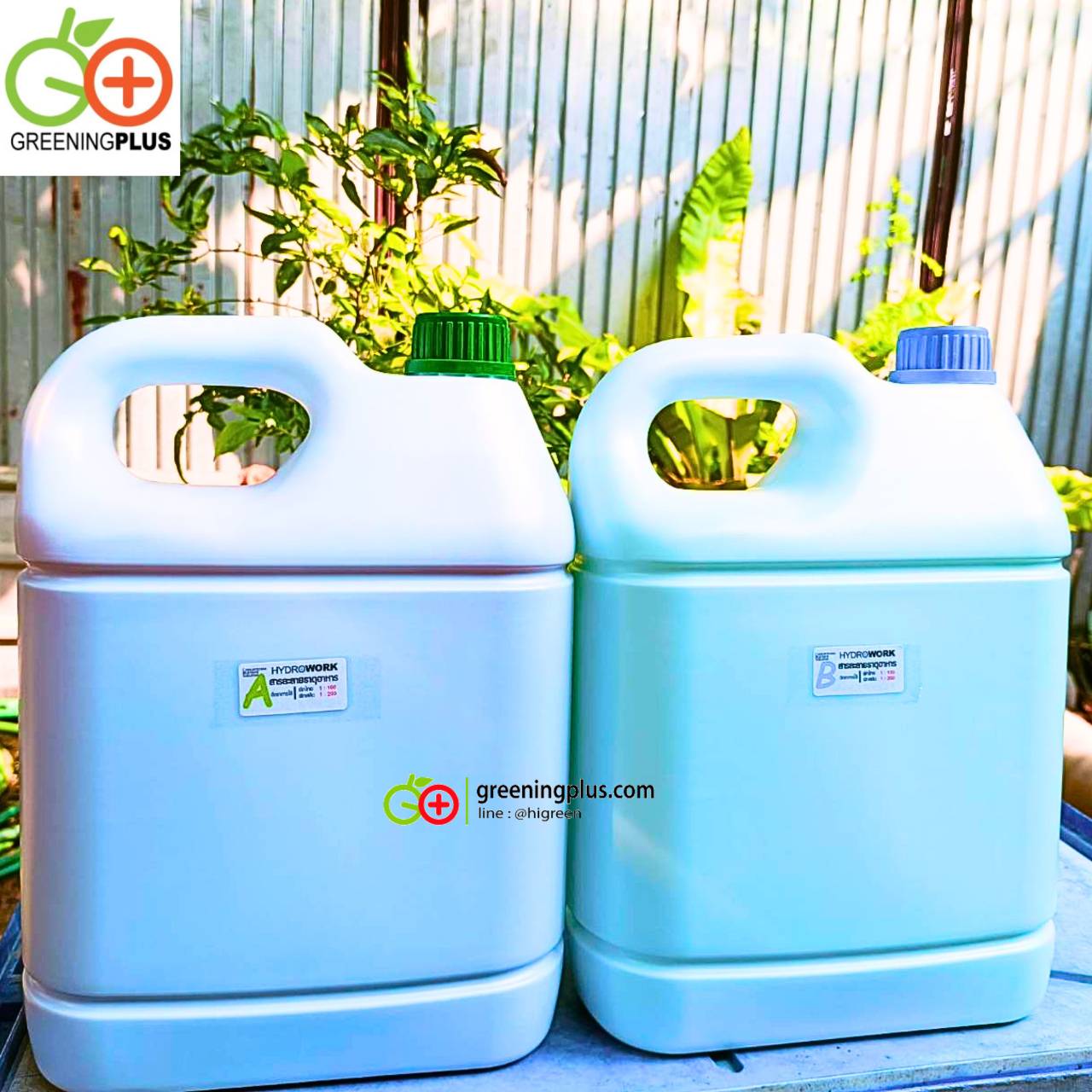 ปุ๋ยน้ำ A/B ขนาด 5 คู่ลิตร (จำนวน 1 ชุด)