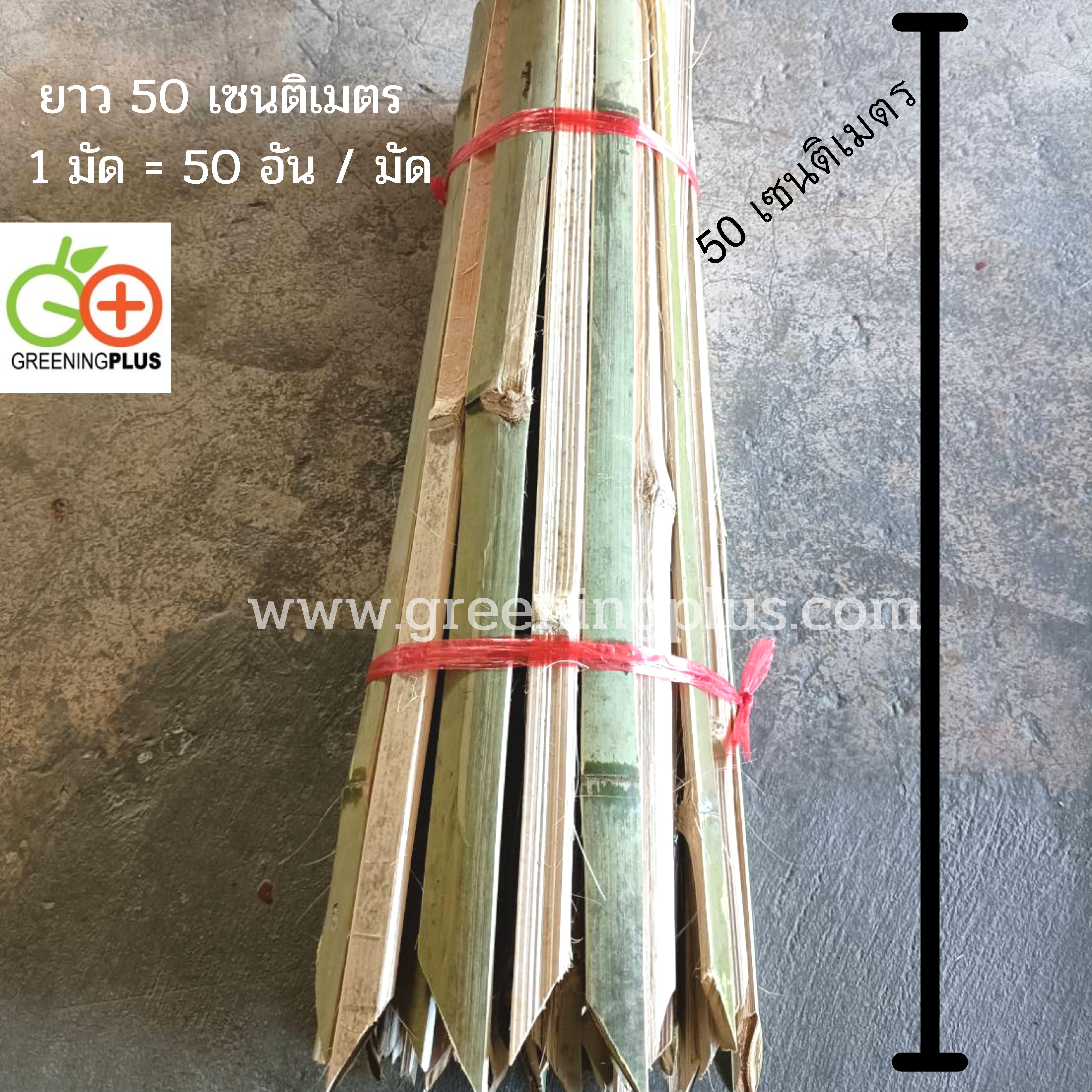 ไม้ปักค้ำต้นไม้ ไม้ไผ่ ไม้ซีก แหลมปลายสะดวกต่อการใช้งาน ขนาด 50 เซนติเมตร / มัด