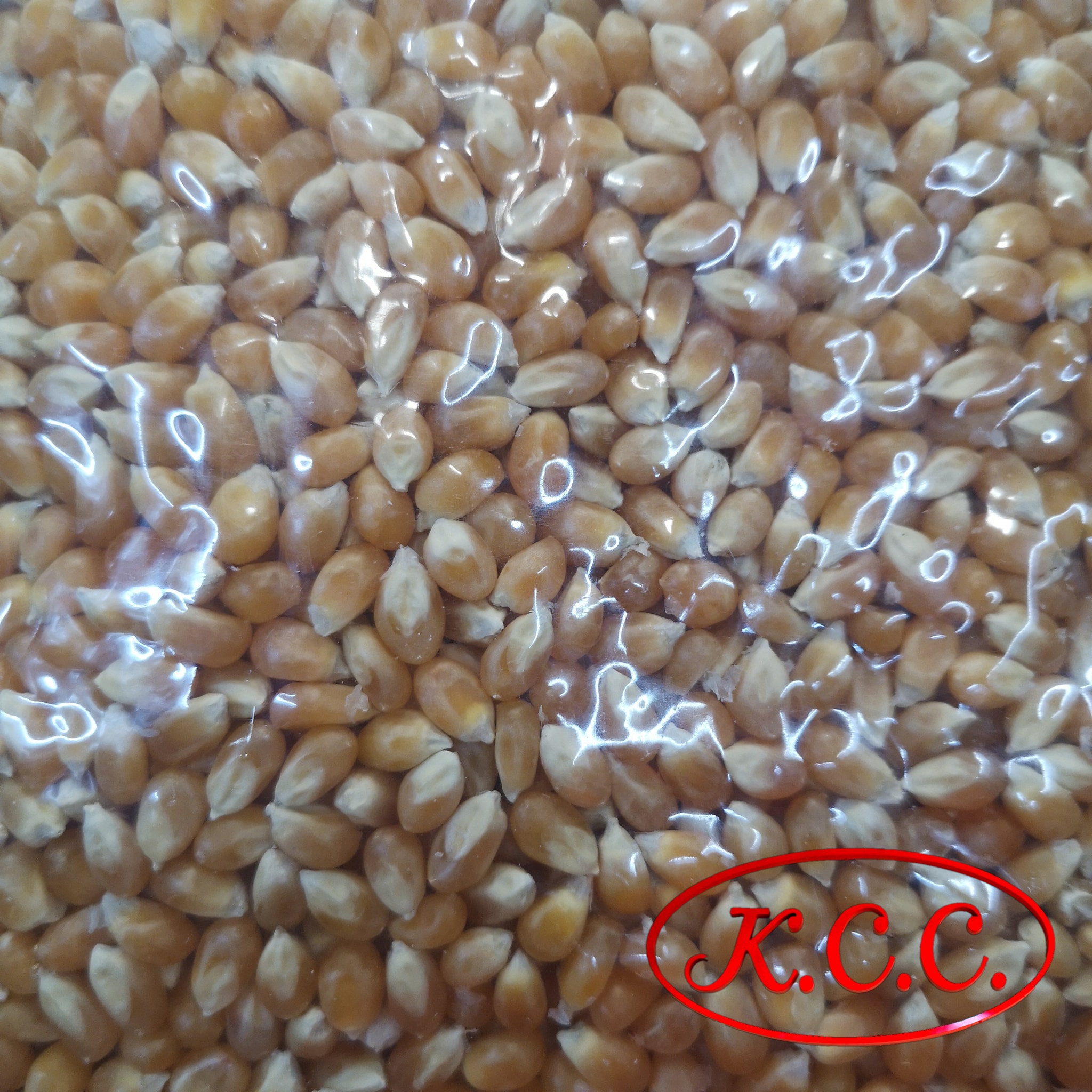 เมล็ดข้าวโพดดิบ สำหรับทำข้าวโพดคั่ว/ป็อปคอร์น พันธุ์ผีเสื้อ (Butterfly) (1000 g.)