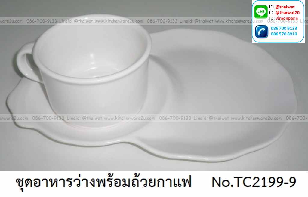 P08868 ชุดอาหารว่าง 9 นิ้ว สีพื้น เมลามีนแท้ Flowerwareเครือซูปเปอร์แวร์ No.TC2199-9 (ราคาส่งต่อ 12 ชุด:เฉลี่ย 85 บ/ชุด)