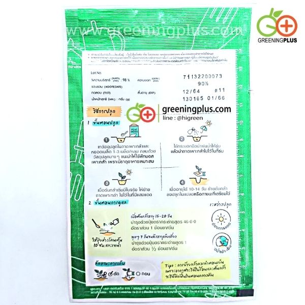 เรดโอ๊ค วีนัส (red oak venus) เจียไต๋