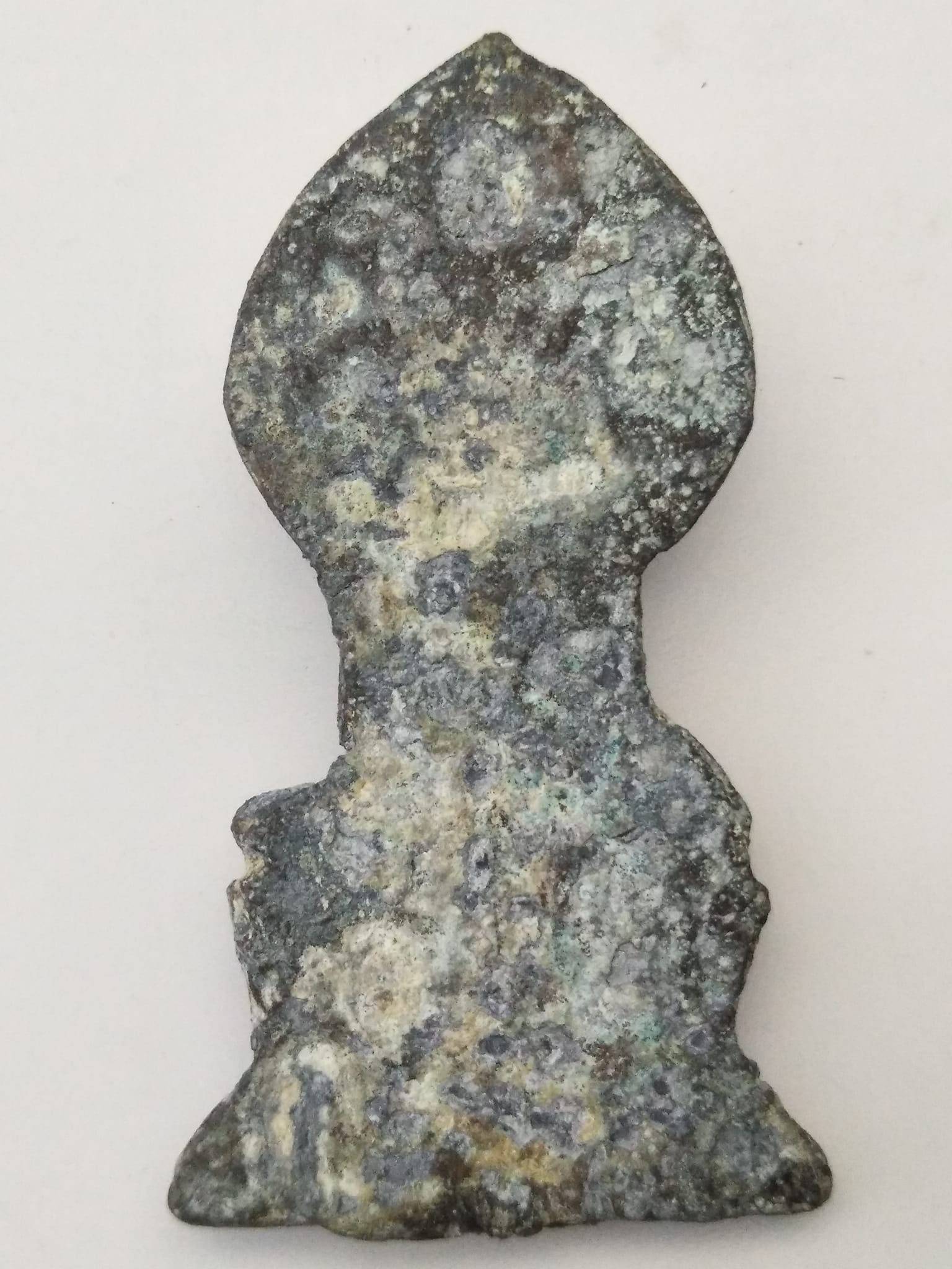 G427 พระเชียงแสนปรกโพธิ์