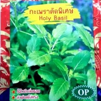 กะเพรา ภูเขาทอง(Holy Basil)