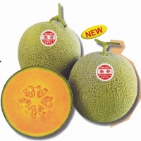 เมล่อน POT ORANGE 10 เมล็ด