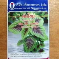 ผักโขมเรดลิฟ TA026 Amaranth เพื่อนเกษตร
