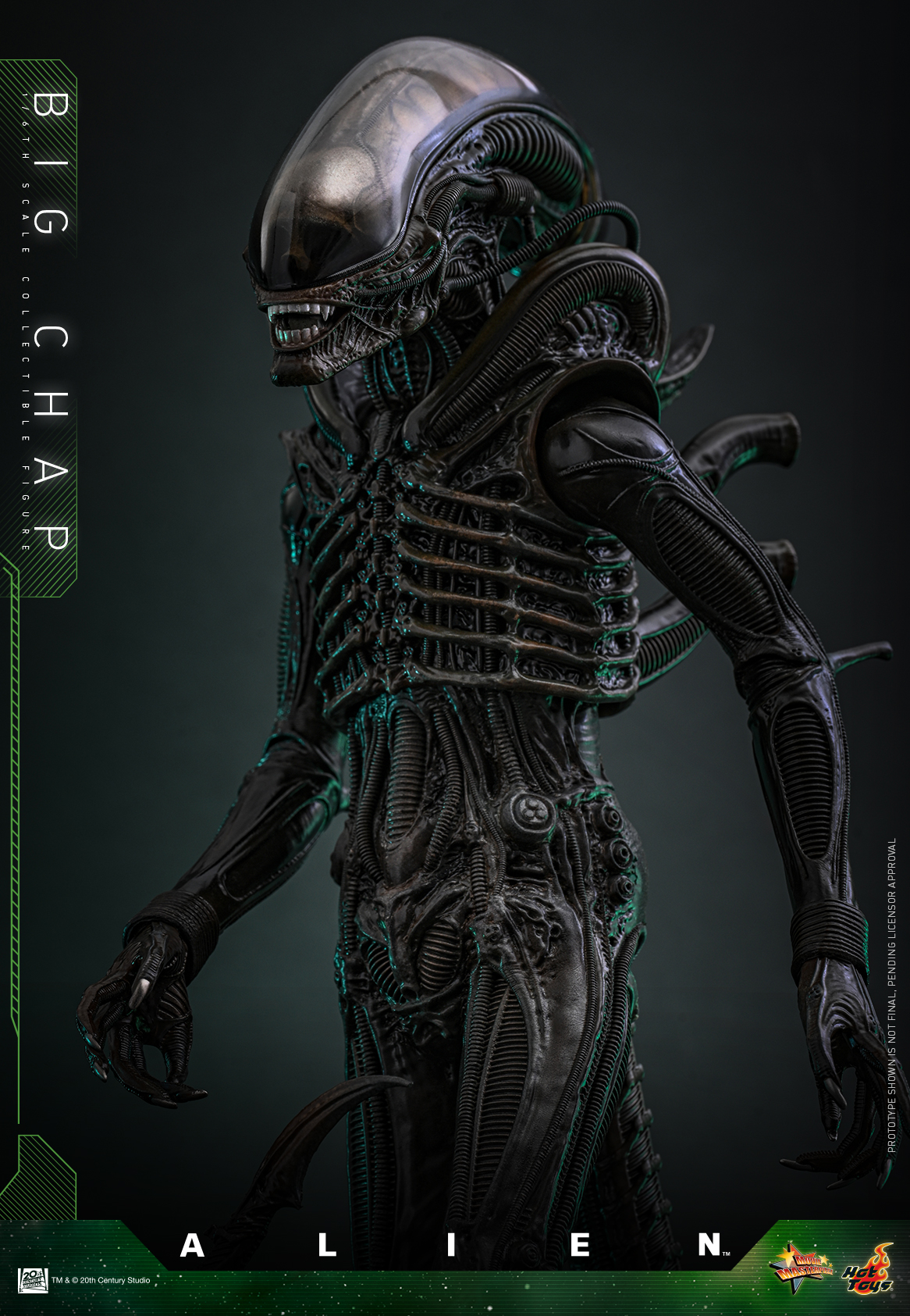 25/08/2568 Hot Toys MMS826 Alien - Big Chap