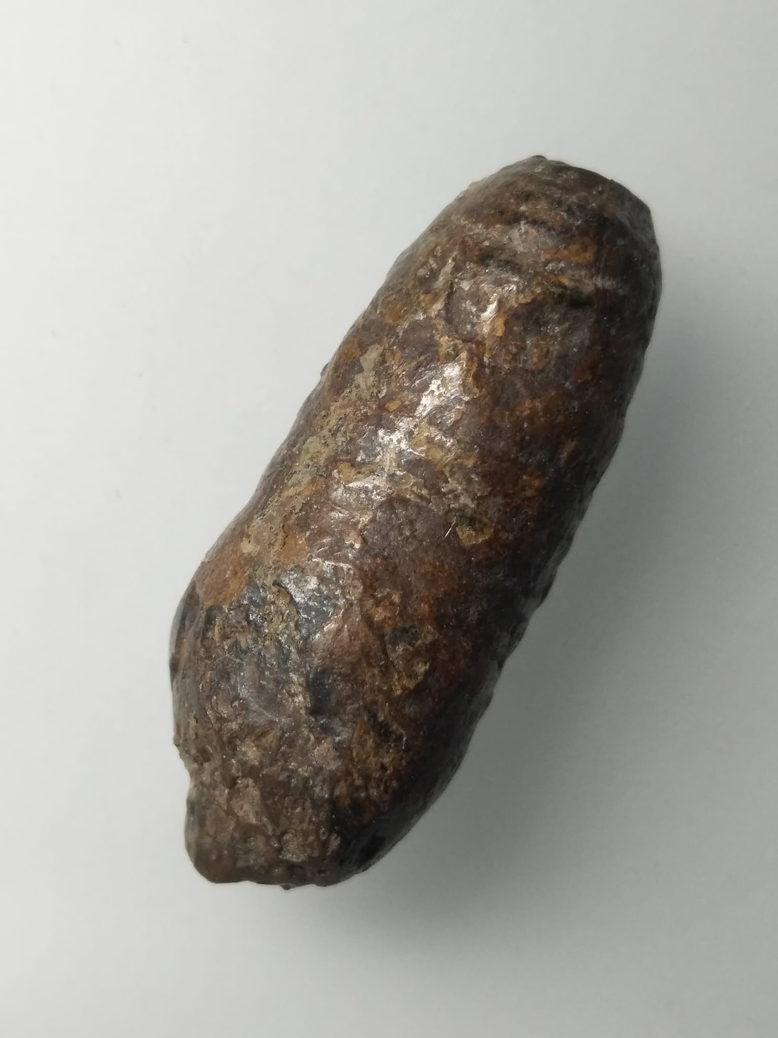 H305 คตดักแด้ ดักแด้หินทนสิทธ์