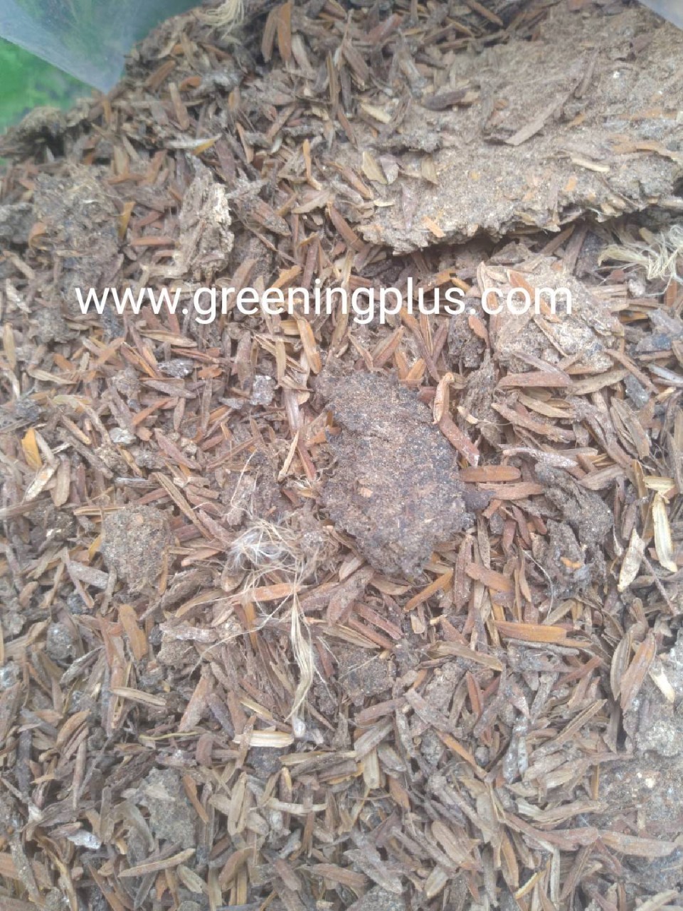 ขี้ไก่ผสมแกลบ100% จำนวน 1กส.