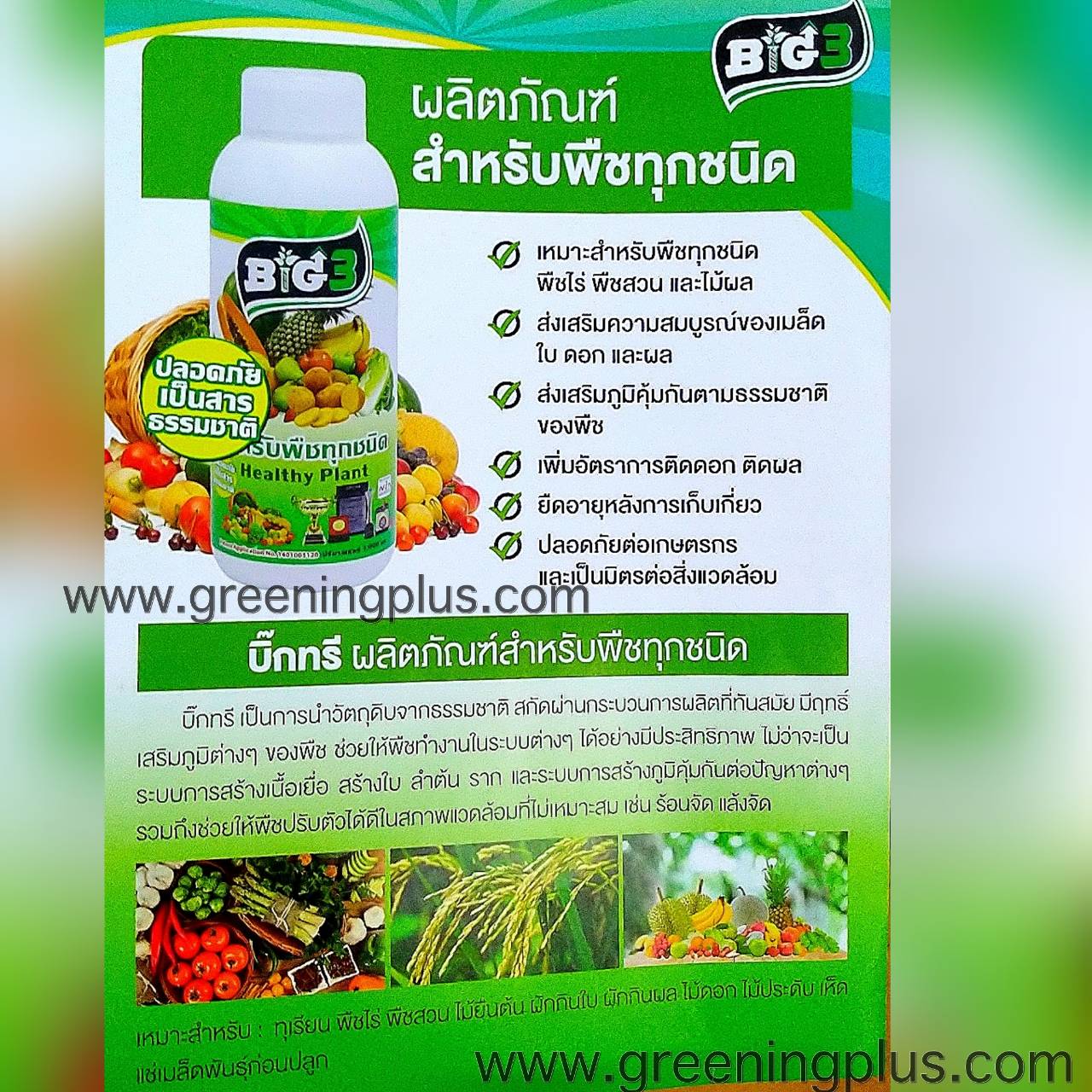 วัคซีนพืช BIG กระตุ้นภูมิสู้โรคลดตุ้นทุนเพิ่มผลผลิต ขนาด 100 ml.
