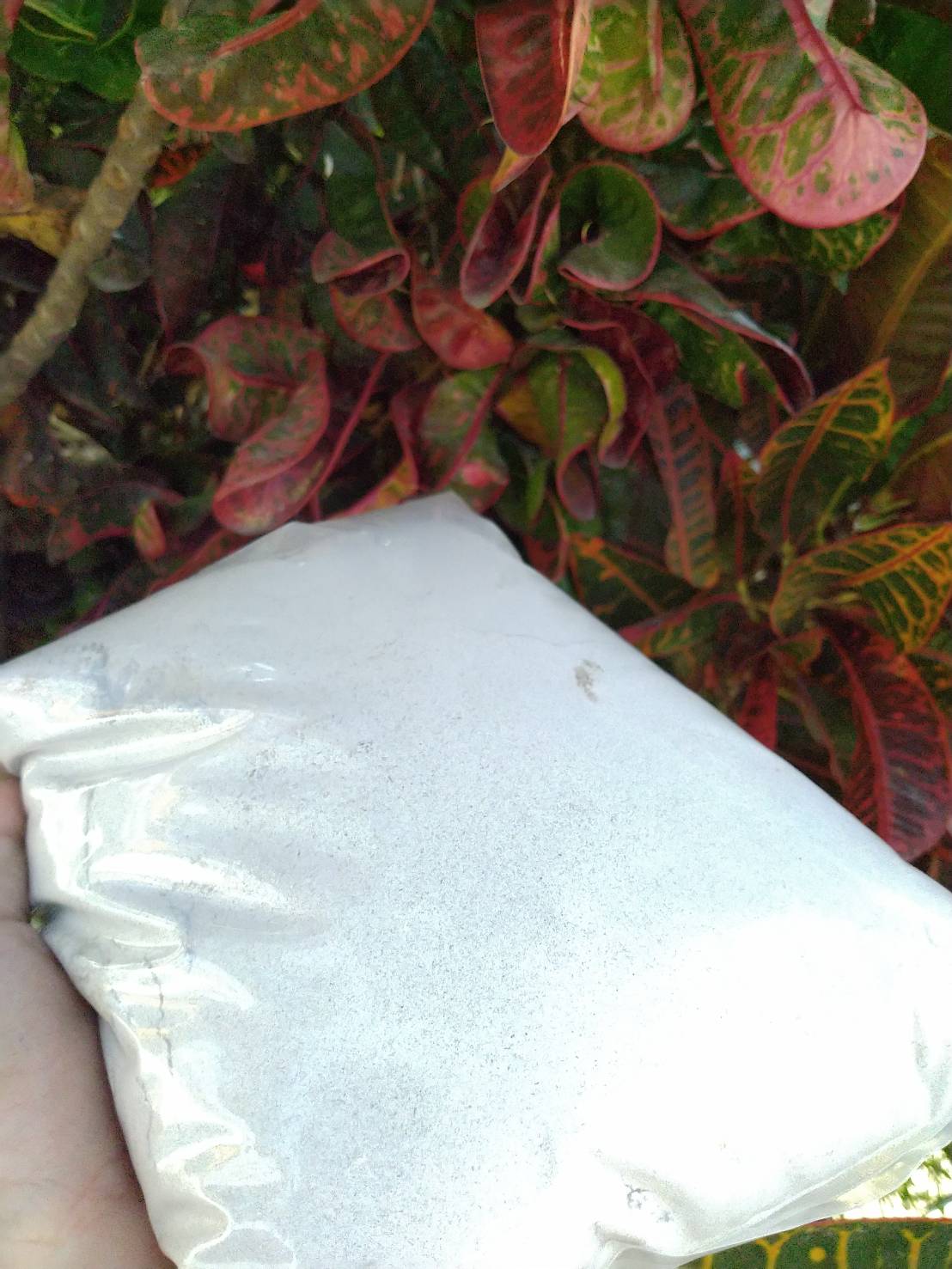 ขี้เถ้า ขนาด 1 กิโลกรัม