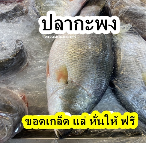 ปลากะพง