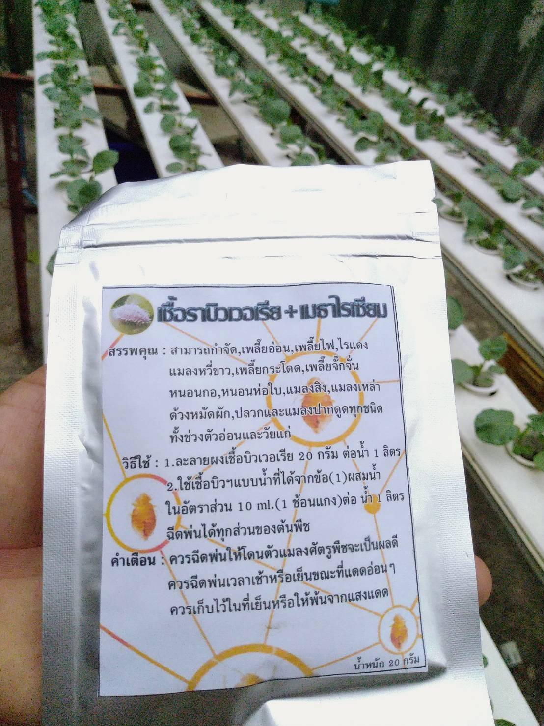 เชื้อราบิวเวอร์เรีย+เมธาไรเซียม แบบผง 20 กรัม ผสมน้ำได้ 1 ลิตร