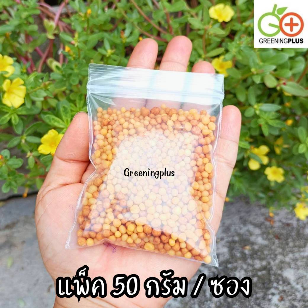 ปุ๋ยออสโมโค้ท (Osmocote) ขนาด 50 กรัม