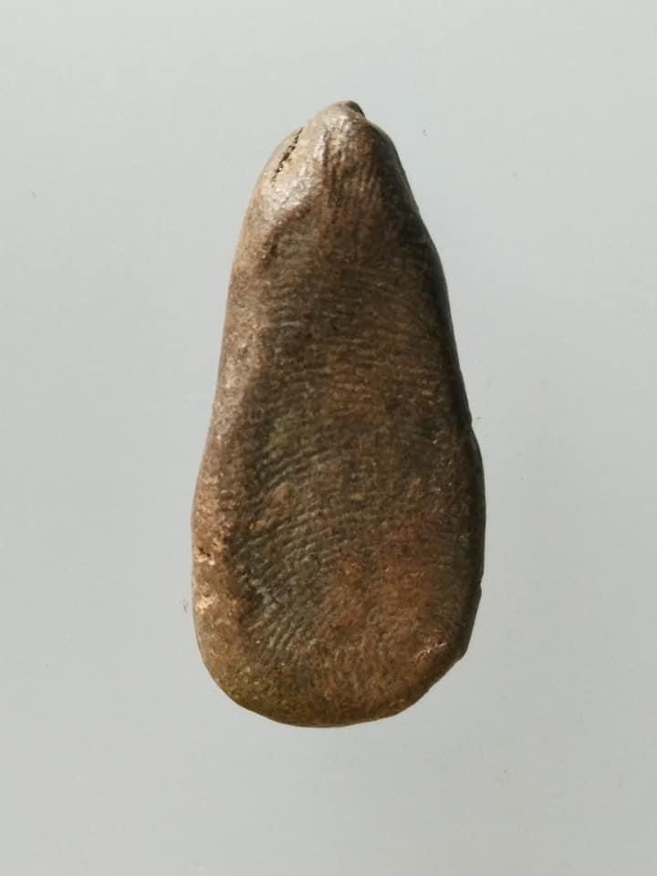 D194 พระกำแพงยืนตอ