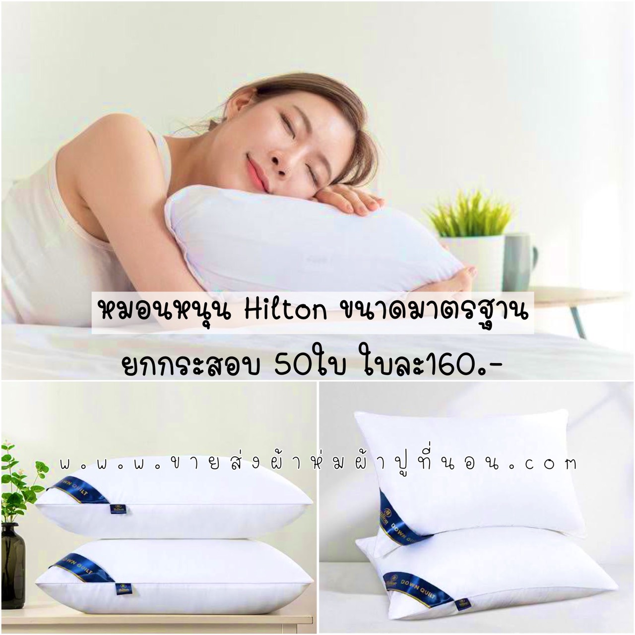 หมอนหนุนHilton ขนาดมาตรฐาน 50ใบ
