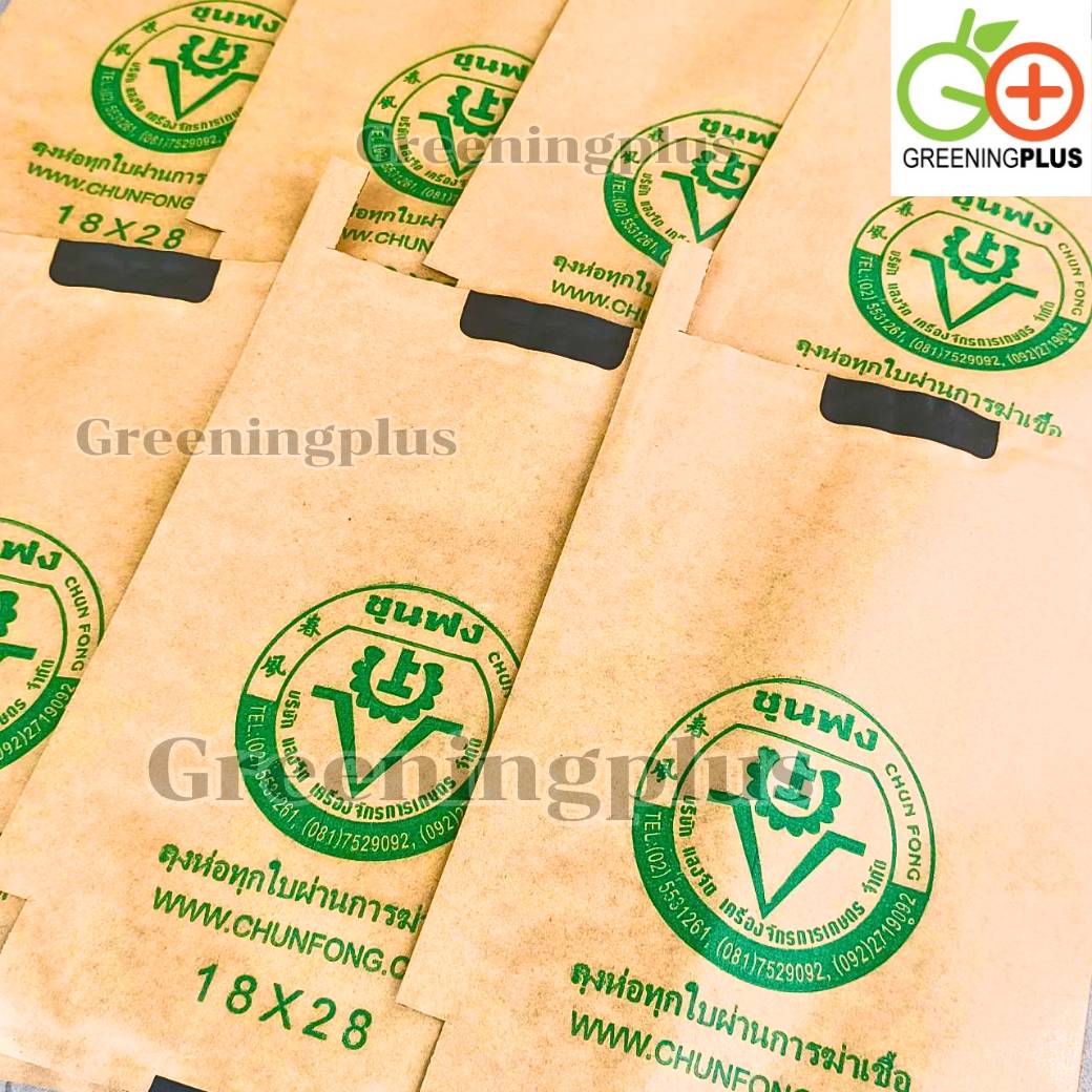 ถุงกระดาษคาร์บอน ขนาด18x28ซม. (สีเขียว) 50ใบ/แพ็ค