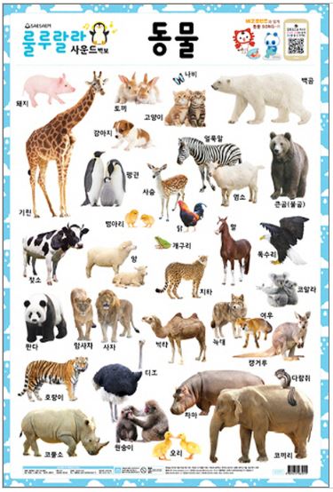 โปสเตอร์สองด้านสี่สีอักษรภาษาเกาหลีเกี่ยวกับสัตว์ 룰루랄라 사운드 벽보(양면벽보): 동물 Korean Color Language Sound Poster (double-sided poster): Animals