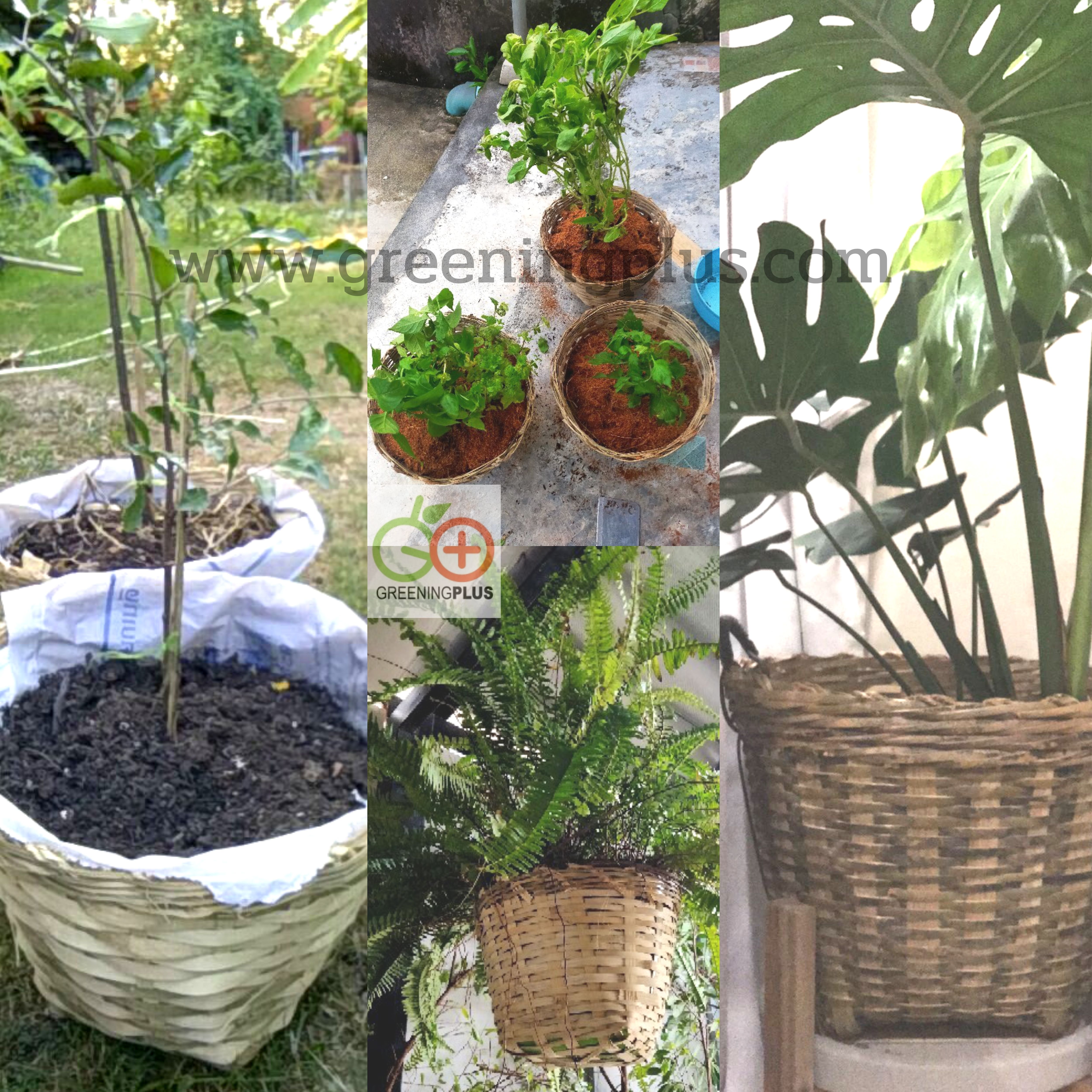 เข่งไม้ไผ่ (จำนวน 1 ใบ)