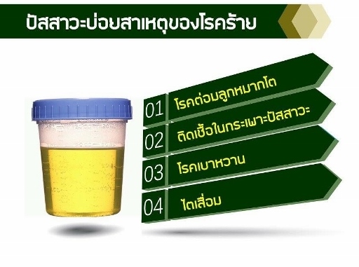 กระเพาะปัสสาวะอักเสบ แก้ได้ด้วยธนทร