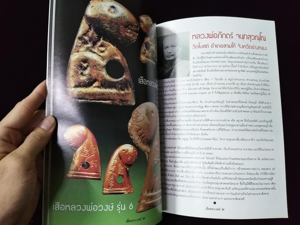 เสือ มหาเวทย์