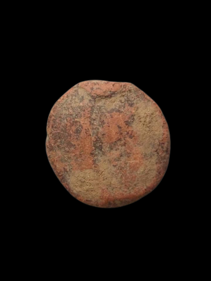 F317 งบน้ำอ้อย