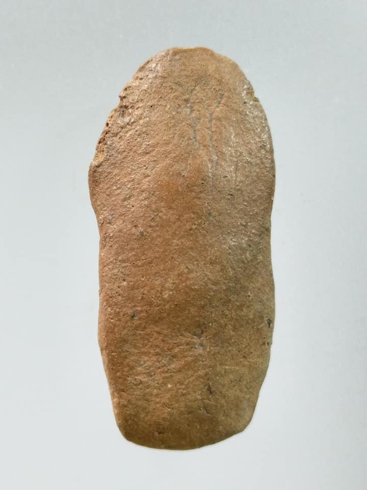 A718 พระนาคปรกลูกยอ