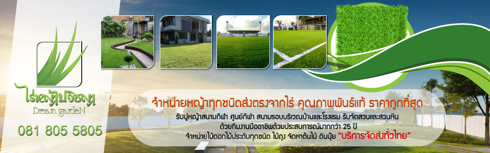 ไร่หญ้าปวิชญา บริการปูหญ้าราคาเริ่มต้น 10 บาท/ตารางเมตร