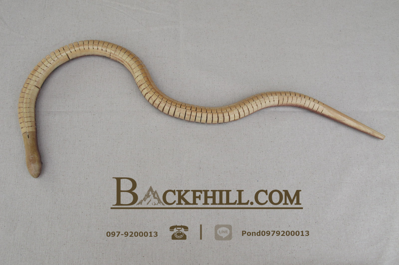 โมเดลงูไม้