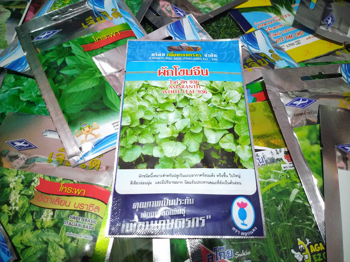 ผักโขมจีน ไวท์ลีพ936 เพื่อนเกษตร