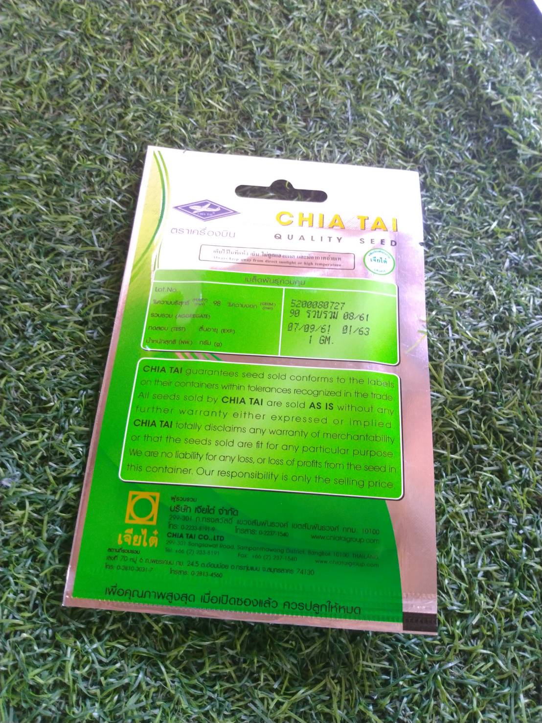 มะเขือเปราะมณีจันทรา Maneechantra eggplant เจียใต๋