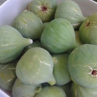 white orak fig 15เมล็ด/ซอง