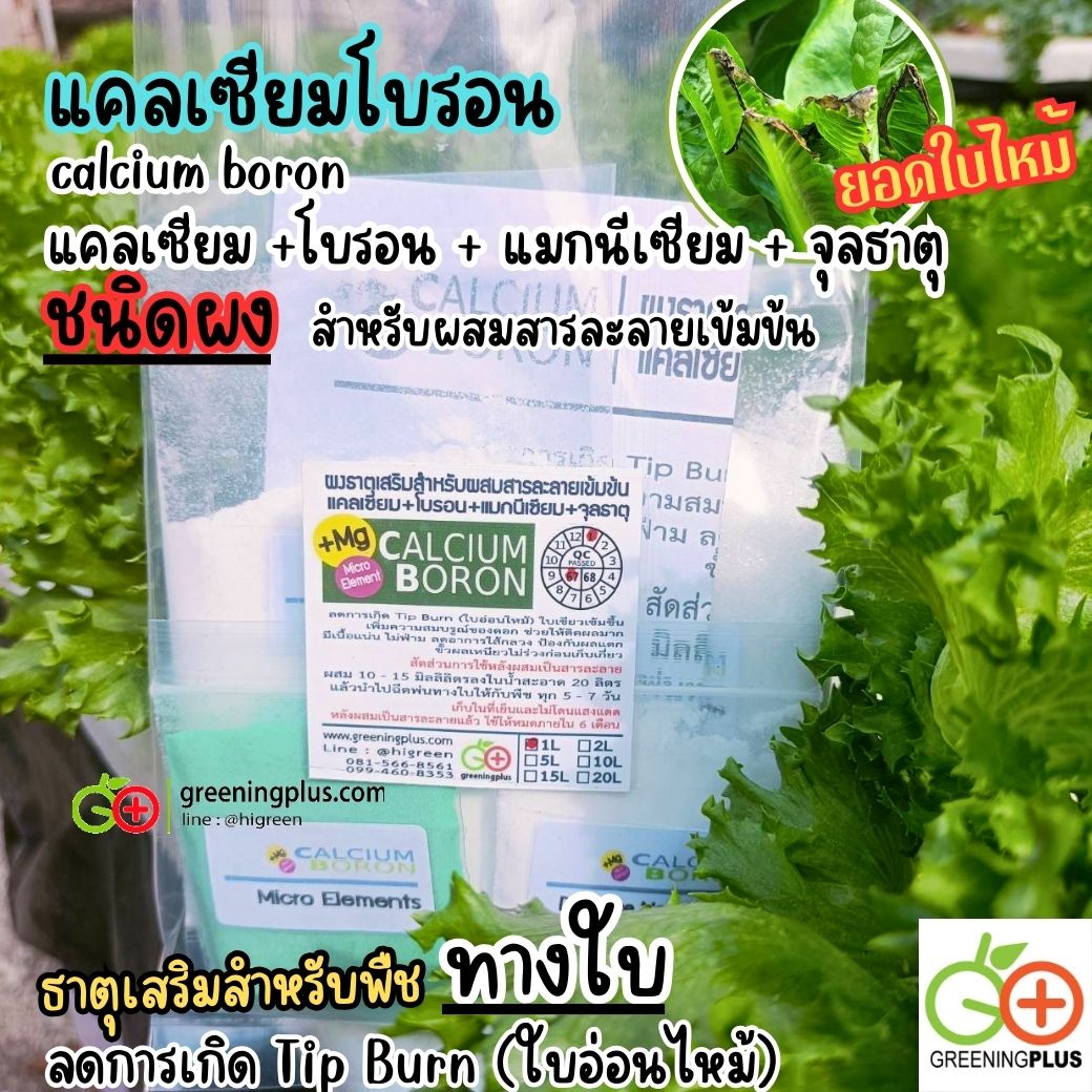 แคลเซียมโบรอน calcium boron (ชนิดผงสำหรับผสมสารละลายเข้มข้น)