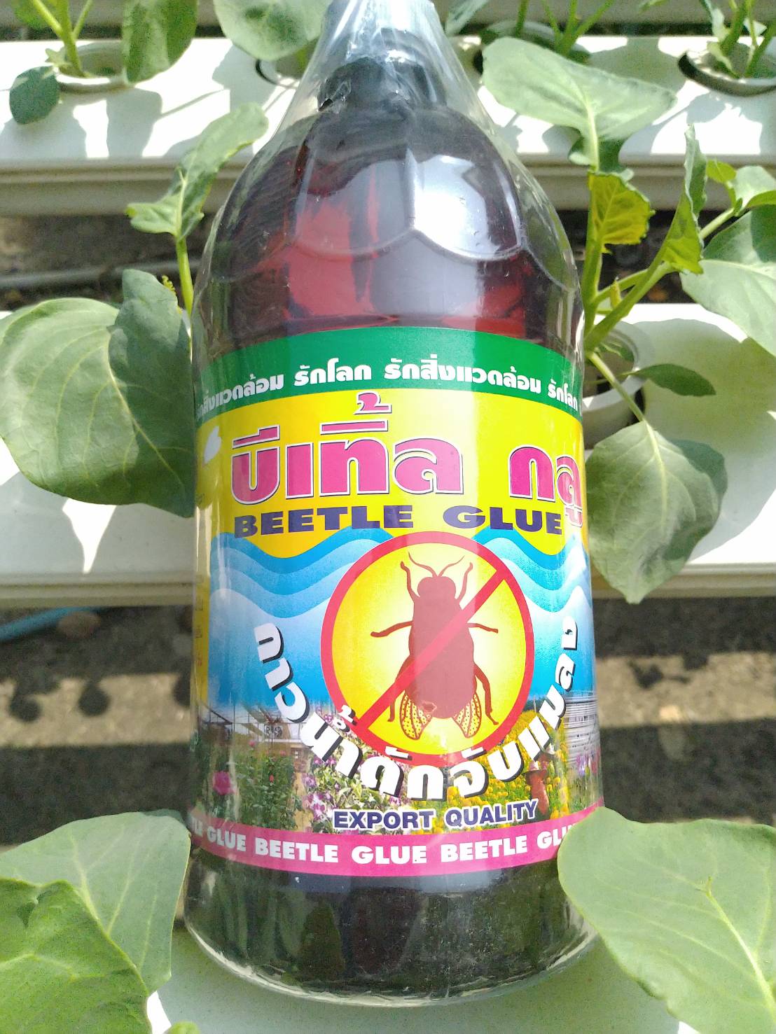 กาวเหนียวดักแมลง บีเทิ้ล กลู Beetle Glue 1 ลิตร