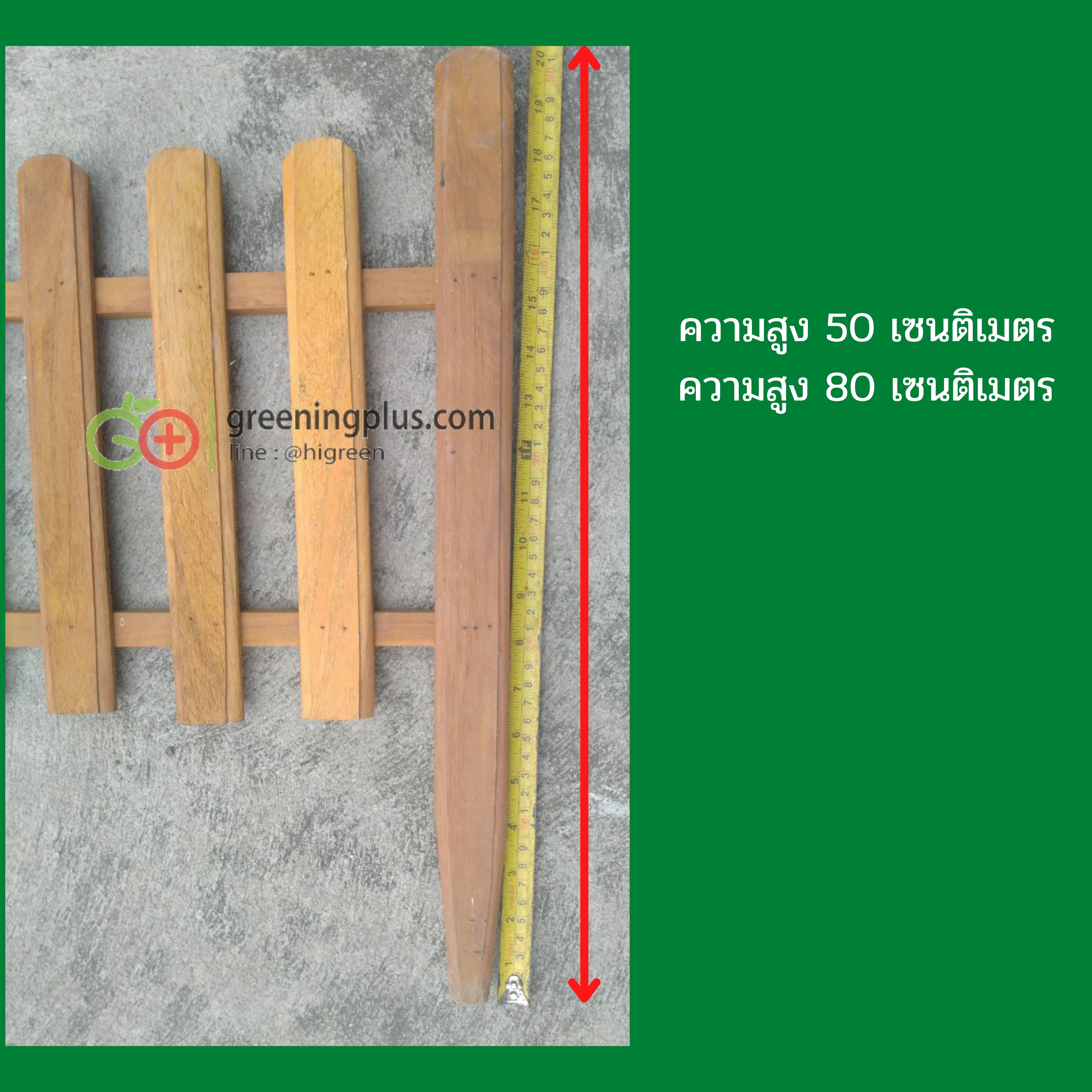 ไม้รั้ว ไม้ตกแต่งสวน