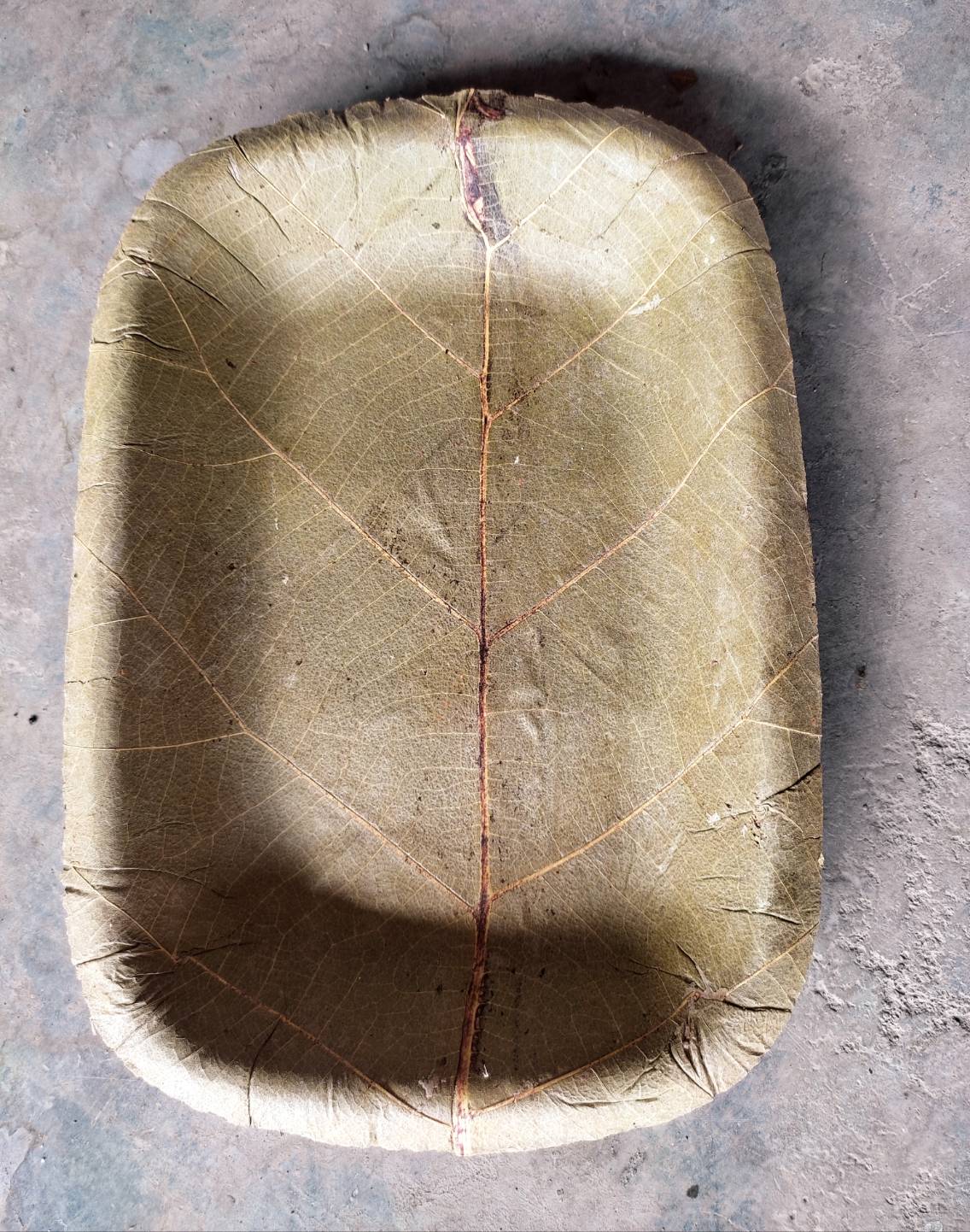 จานใบไม้สี่เหลี่ยม กว้าง 14 ซม. ยาว 21 ซม. แพค 20 ใบ จานใบไม้ตองตึงธรรมชาติ จานใบไม้ธรรมชาติ จานใบตอง จานธรรมชาติ