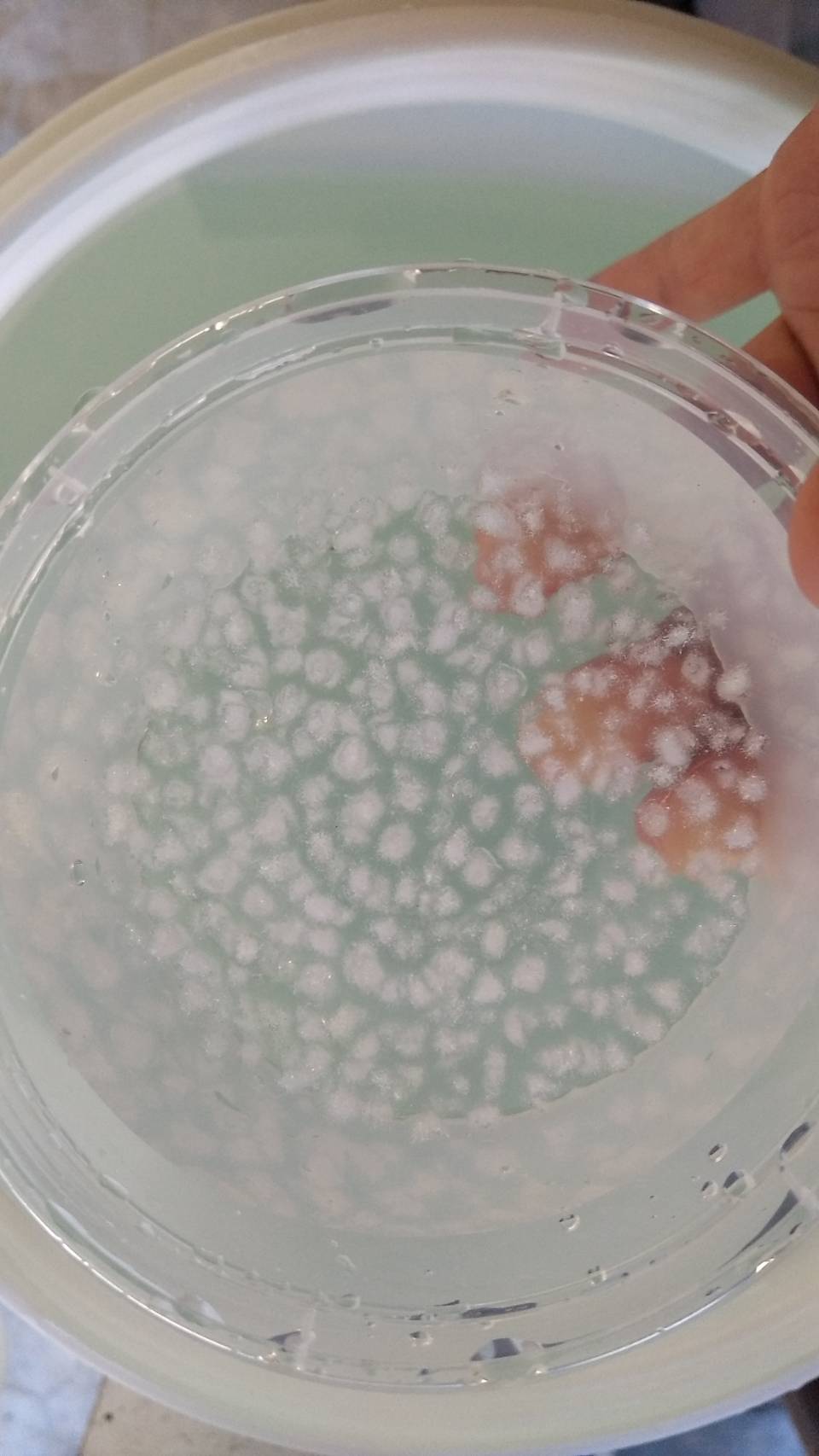 โพลิเมอร์ 200 กรัม